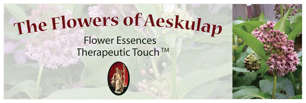 The Flowers of Aeskulap